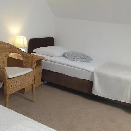 Проживание в семье I Sosnowa 4