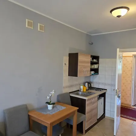 Проживание в семье I Sosnowa 4