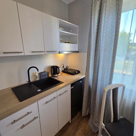 Проживание в семье I Sosnowa 4