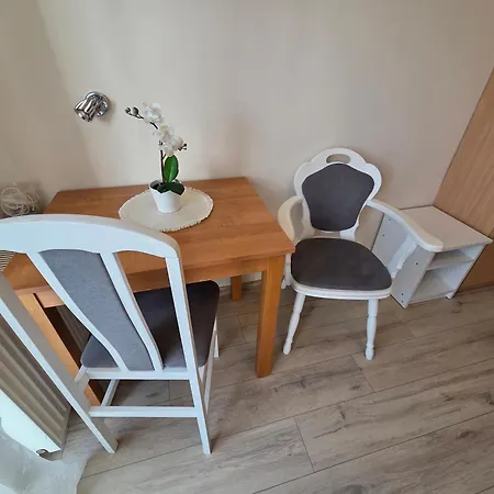 Проживание в семье I Sosnowa 4