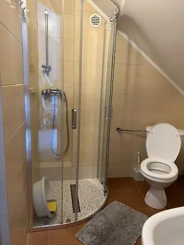 Проживание в семье I Sosnowa 4