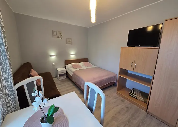 Проживание в семье I Sosnowa 4