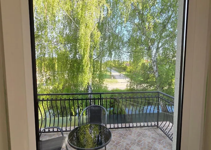 Проживание в семье I Sosnowa 4